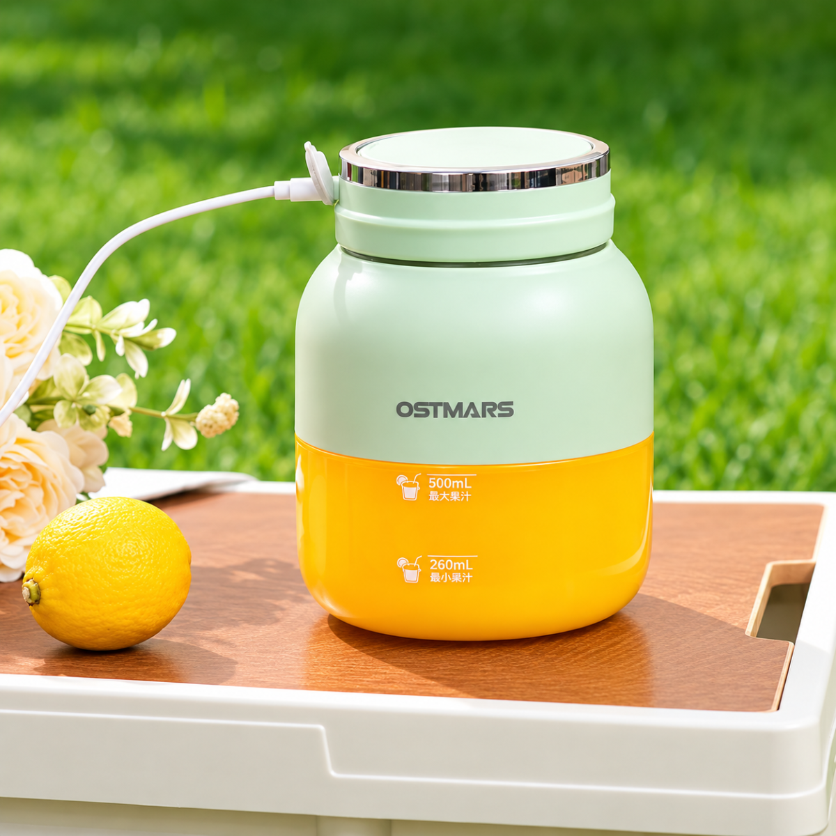 MÁY XAY SINH TỐ MINI TÍCH ĐIỆN OSTMARS 800ML (T20)