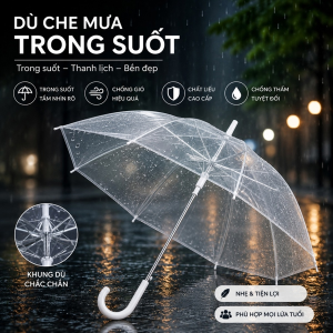 DÙ CHE MƯA TRONG SUỐT (T100)