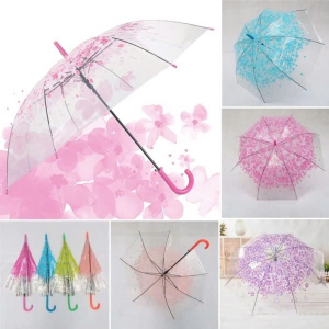 DÙ TRONG SUỐT HOA ANH ĐÀO