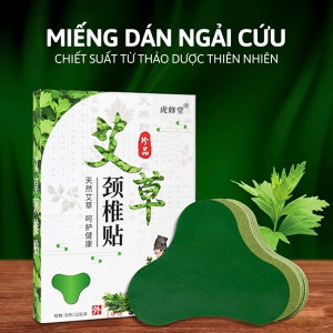 HỘP 12 MIẾNG DÁN VAI GÁY