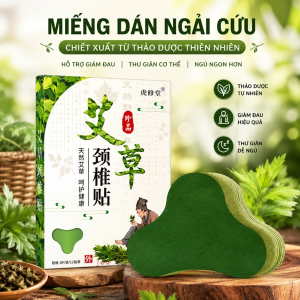 HỘP 12 MIẾNG DÁN VAI GÁY (T200)