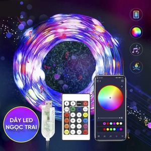 DÂY ĐÈN LED ĐỔI MÀU RGB NGỌC TRAI 66 BÓNG 10M